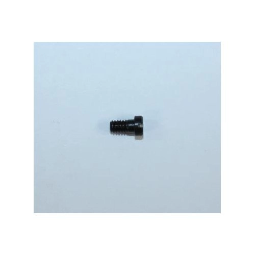 Bersa Firestorm 380 Stock Screw
