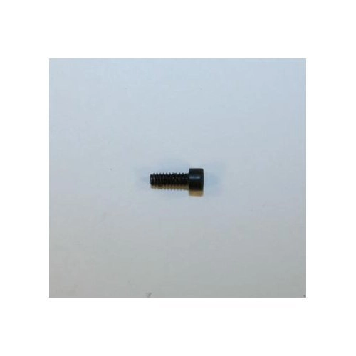 Hi-Point Model C9 Rear Sight Mounting Screw