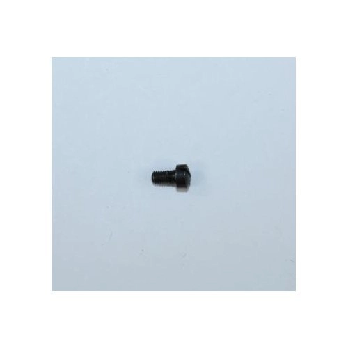 Iver Johnson Model TP22 Stock Screw