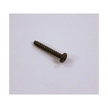 Iver Johnson Little Champ Takedown Screw Front