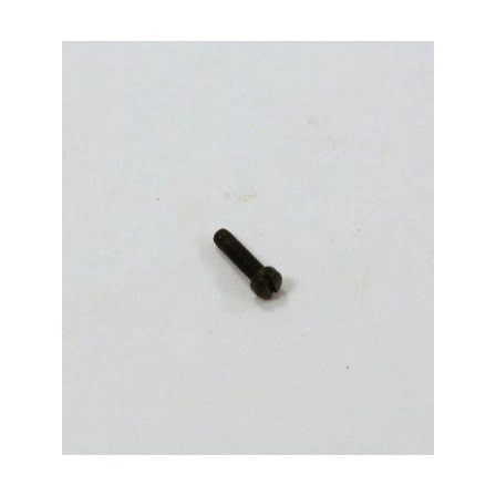 Remington 742 Rear Elevation Screw (Slide Screw)