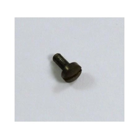 RG Model 23 Stock Screw