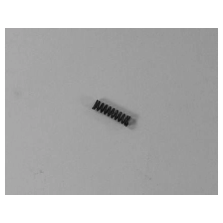 RG Model 38S Rear Sight Spring