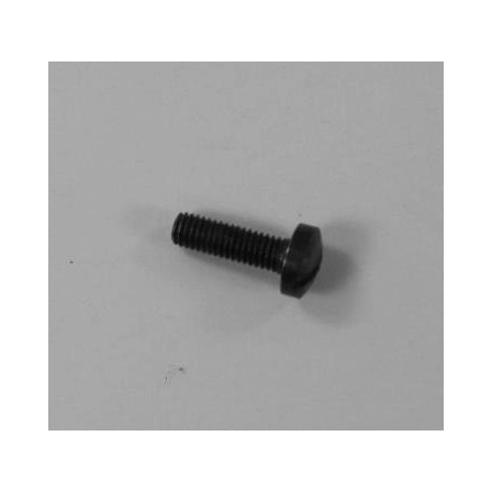 RG Model 38S Stock Screw