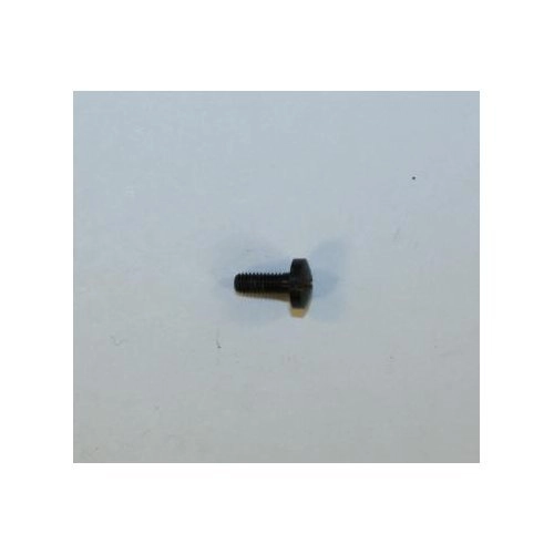 RG Model 10S Stock Screw