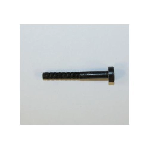 RG Model 30 .22 Cal.: Stock Screw