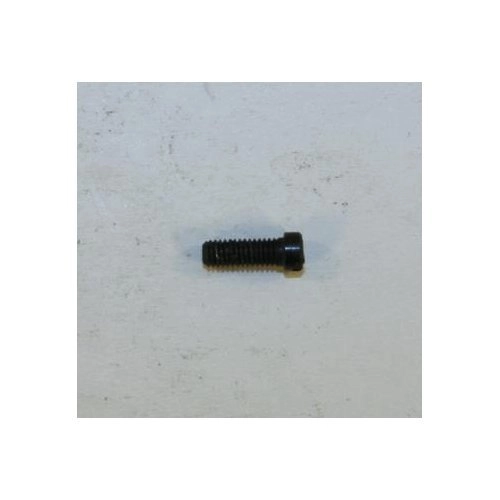 RG Model 31, .32 cal. Sideplate Screw