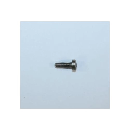 RG Model 38 Stock Screw: Nickel