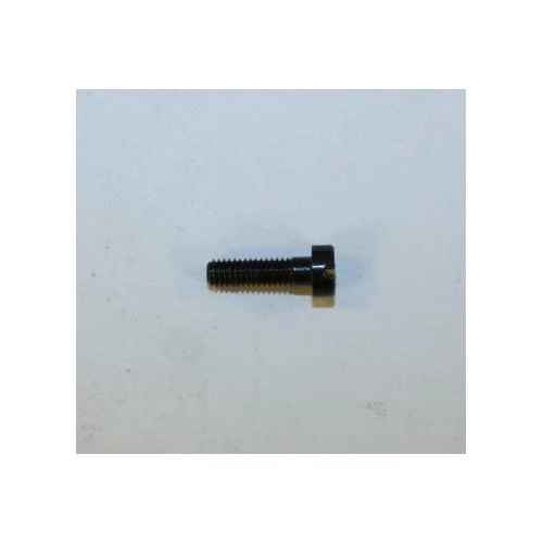 RG Model 38 Takedown Screw