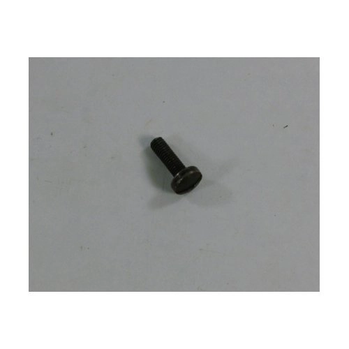 RG Model 40 Stock Screw