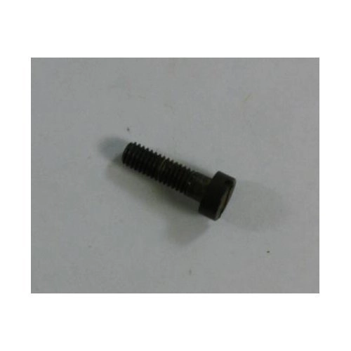 RG Model 40 Takedown Screw