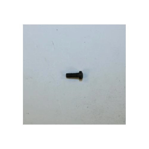 Rohm (RG) Model High Noon Trigger Guard Screw