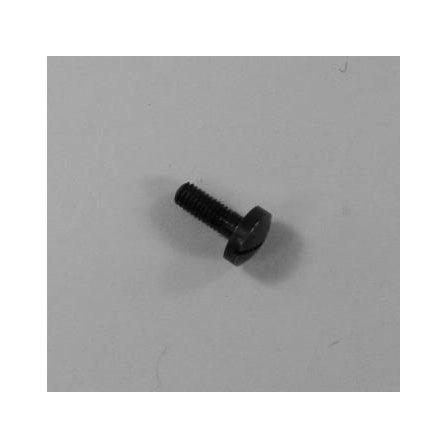 RG Model 10 Stock Screw