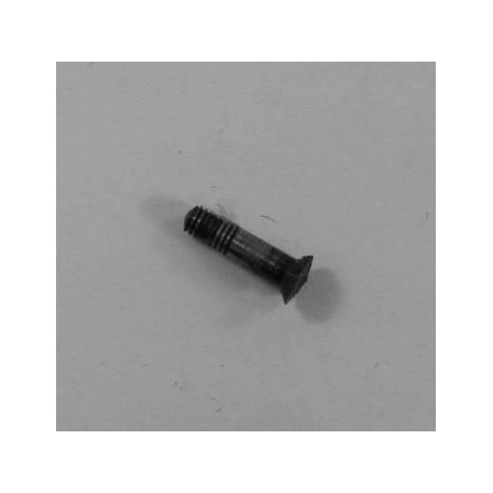 RG Model 10 Trigger Pivot Screw