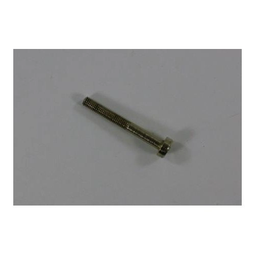 RG Model 66 Stock Screw: Nickel