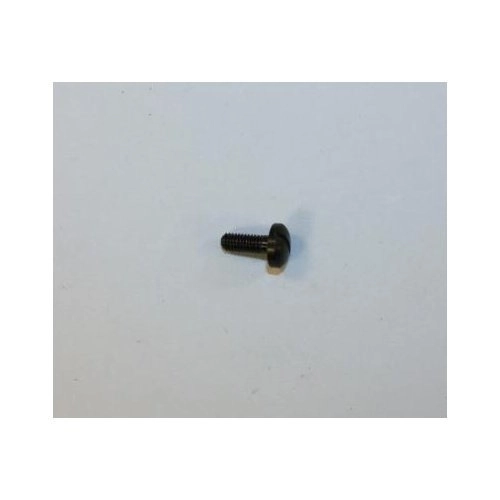 RG Model 24 Stock Screw