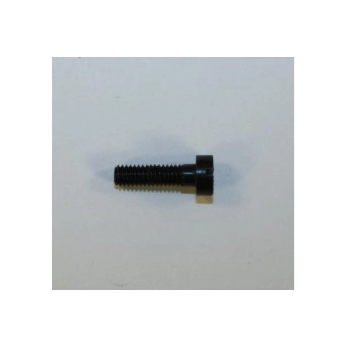 Rohm (RG) Model 38T Takedown Screw