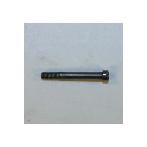 Rossi Old Model 88 SST Stock Screw