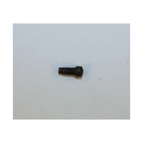 Smith & Wesson Model 10-6 Sideplate Screw Round