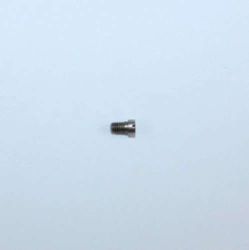 Smith & Wesson Model 13-1 Nickel Side Plate Screw Flat