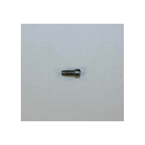 Smith & Wesson Model 66-1 Yoke Screw