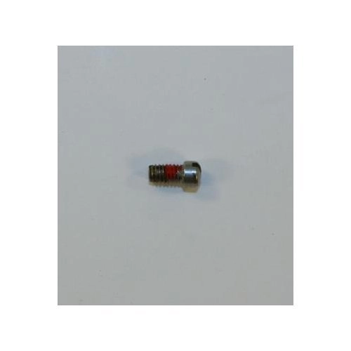Smith & Wesson Model 629-6 Sideplate Screw
