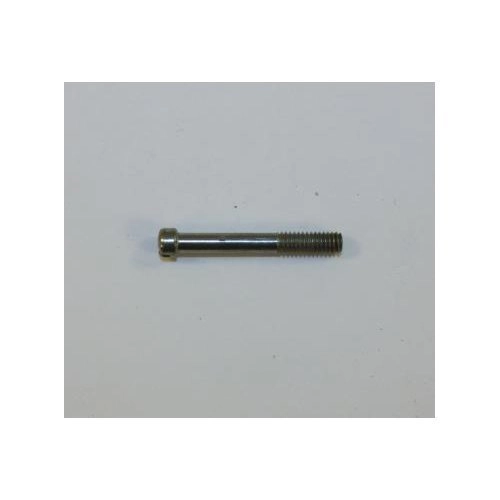 Smith & Wesson Model 37 Stock Screw