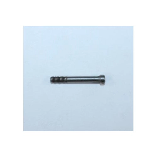 Smith & Wesson Model 38 Stock Screw