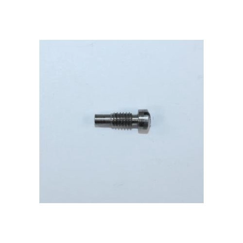 Smith & Wesson Model 686-3 Strain Screw: SqBt