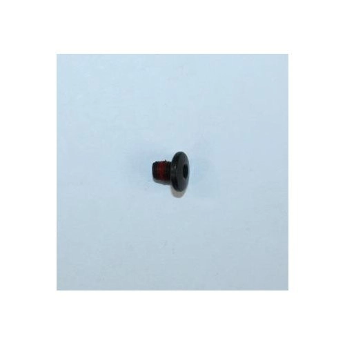 Sig Sauer Model P938 Gen I Stock Screw