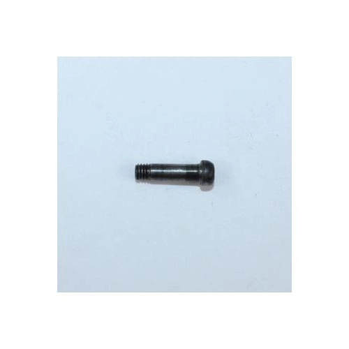 Taurus 85 Polymer Protector Grip Screw Lower