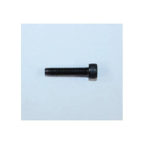 Taurus 85 Polymer Protector Stock Screw