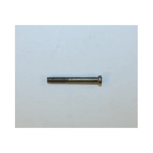 Taurus Old Model 85 SST Stock Screw: SST