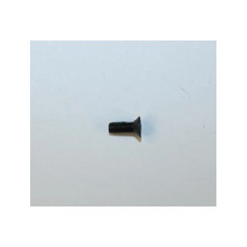 Walther Model P22 Plate Screw: Rear