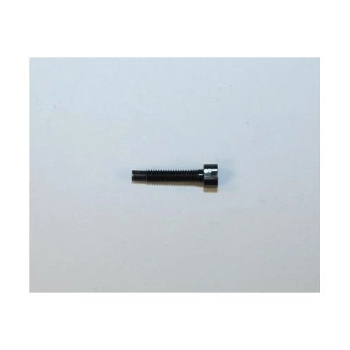 Walther Model P22 Rear Sight Screw